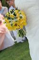 16May'09 0546